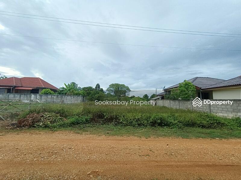 Land with mountain view ou of town in Li, Lamphun, Lamphun