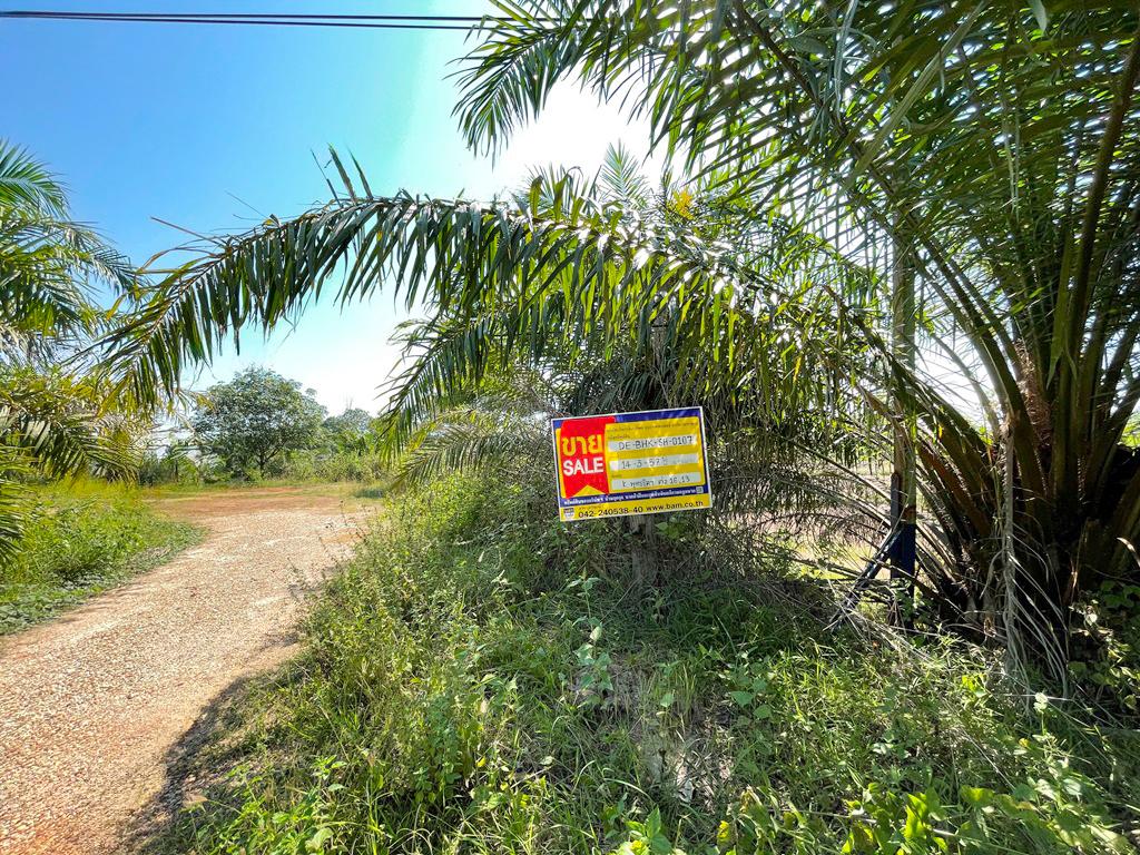 Single House, Phrajarn, Bueng Kan Province