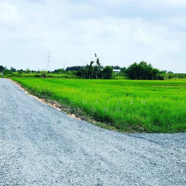 ขายที่ดินซอยมิตรไมตรีซอย 6 แขวงหนองจอก เขตหนองจอก กทม 10530, Bangkok