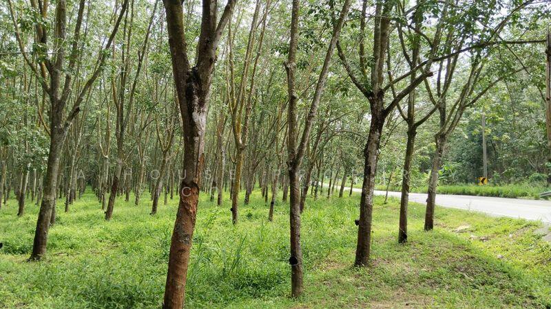Land for sale in Khao Khan Song, Sriracha, beautiful plot, Chon Buri (Pattaya)