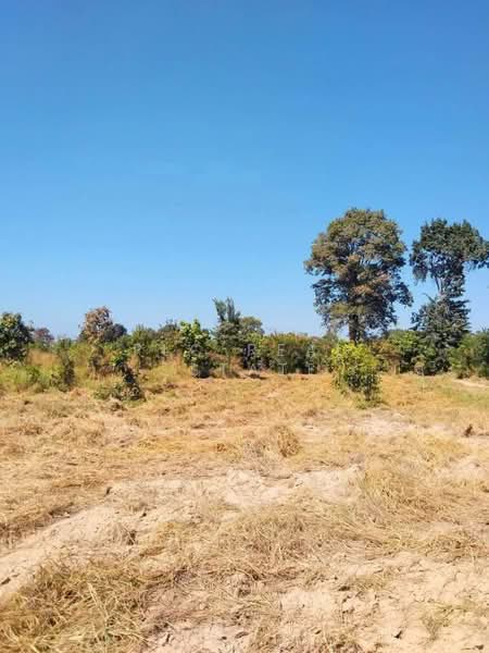 Land for Sale – Khao Talo, Pattaya, Chon Buri (Pattaya)