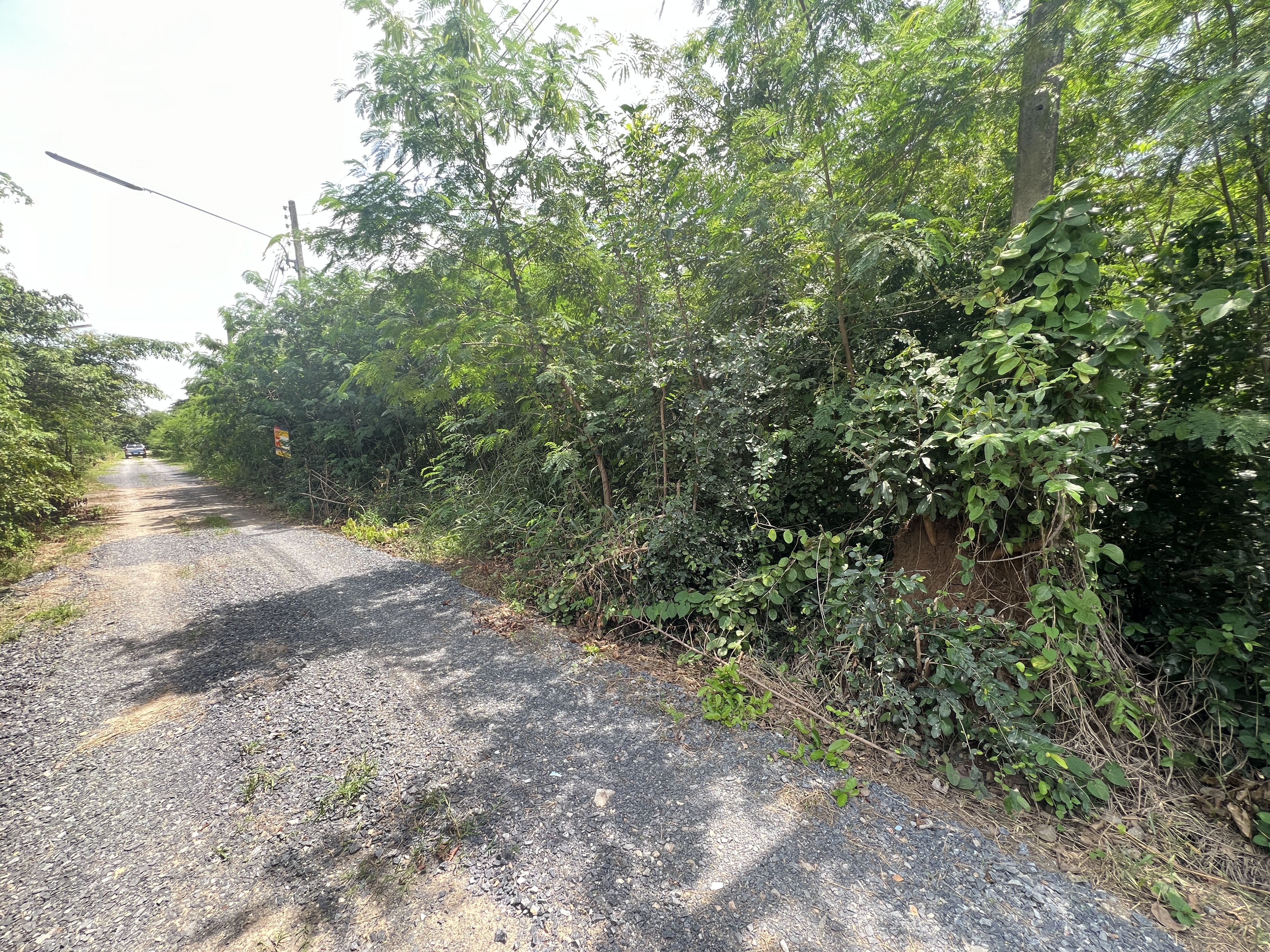 ที่ดินเปล่า โครงการวิริณวาต ลพบุรี