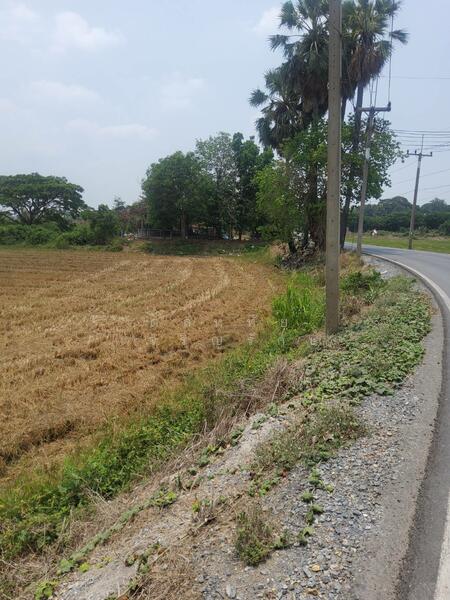 อ่างทอง โพธิ์ทอง, Ang Thong