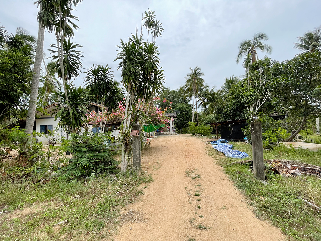 บ้านเดี่ยวพร้อมที่ดิน บางสะพาน ประจวบคีรีขันธ์