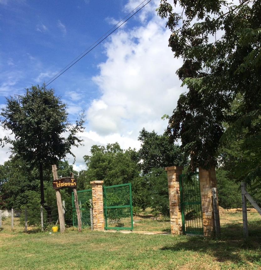 Vacant Land for Sale in Sikhiu, Nakhon Ratchasima
