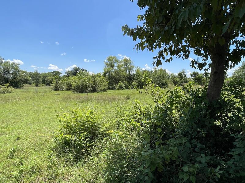 LSS-600 ที่ดินตำบลนาดี : Vacant land, Nadee Subdistrict, Mueang District, Udonthani Province., Udon Thani
