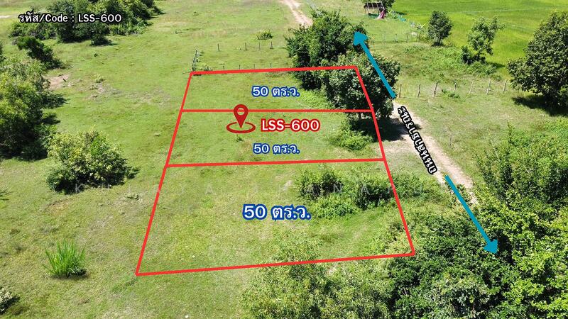 LSS-600 ที่ดินตำบลนาดี : Vacant land, Nadee Subdistrict, Mueang District, Udonthani Province., Udon Thani