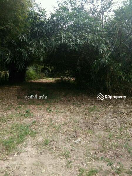 Rayong city land 3-3-75rais near Khun Or's kitchen and next Khlong Yai canal Sale 35Million Baht, Rayong