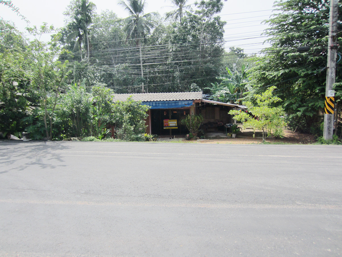 บ้านเดี่ยว ป่าบอน