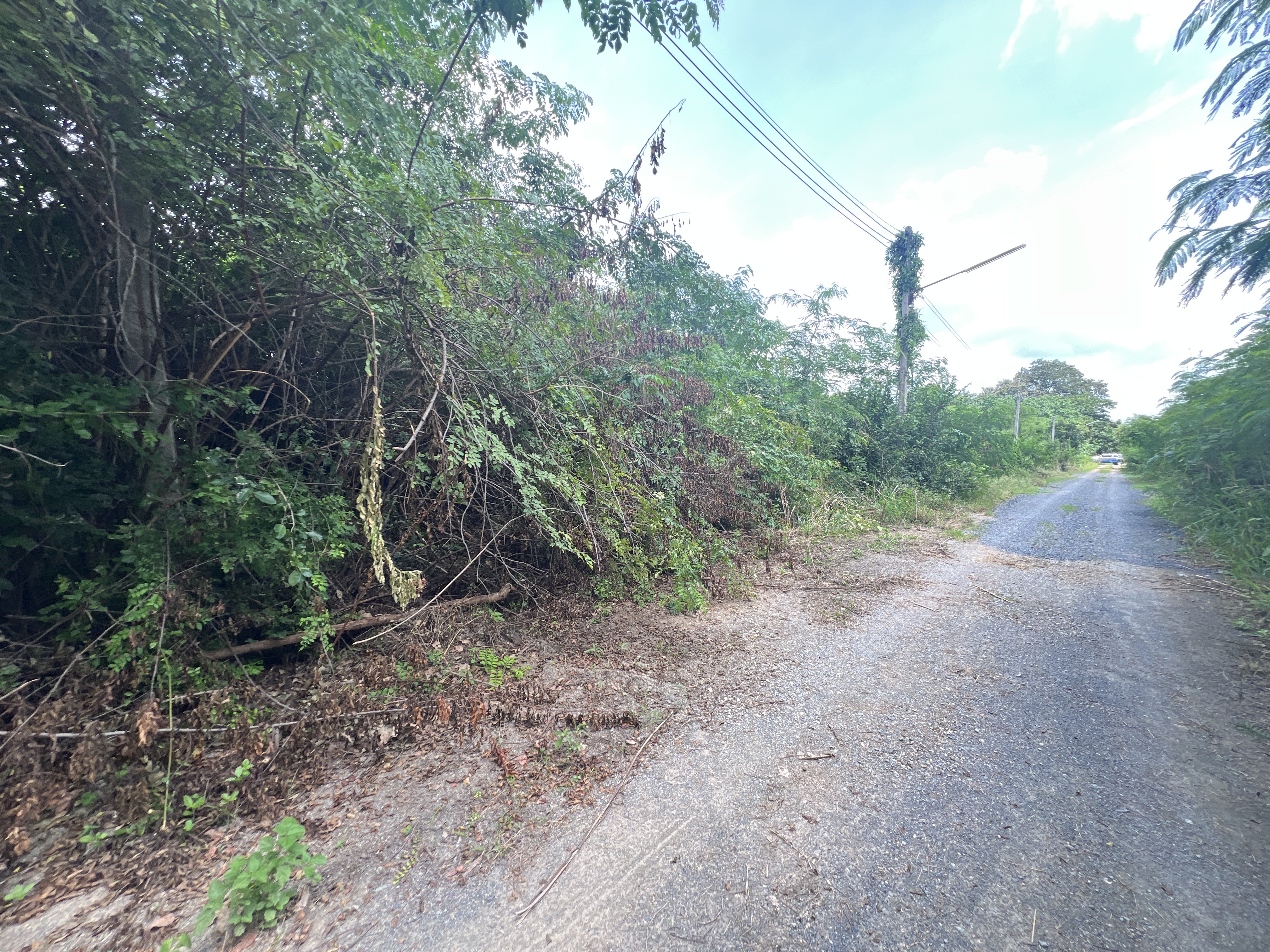 ที่ดินเปล่า โครงการวิริณวาต ลพบุรี