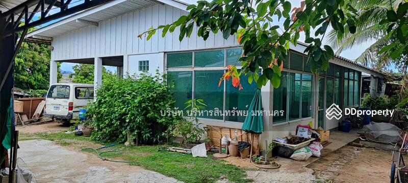 Single House 165 Sqw. Nong Faek Saraphi Chiang Mai., Chiang Mai