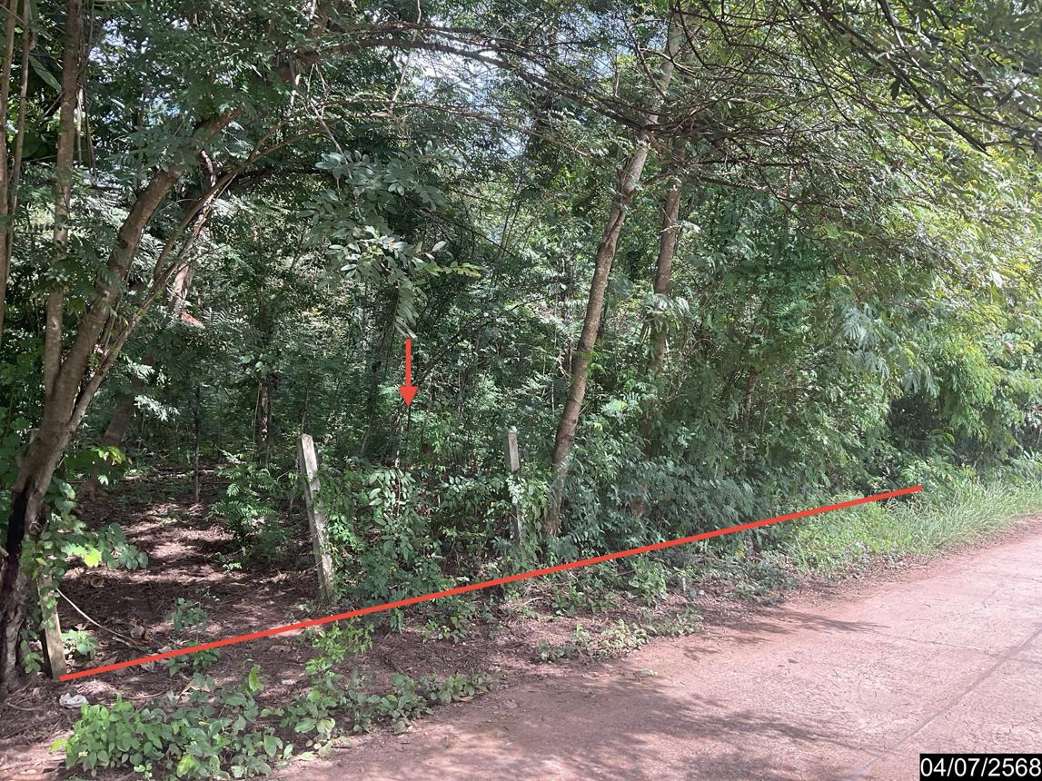 Empty land in Sri Bunyuen, Nong Bua Lamphu