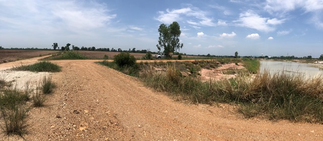 ที่ดินเปล่า