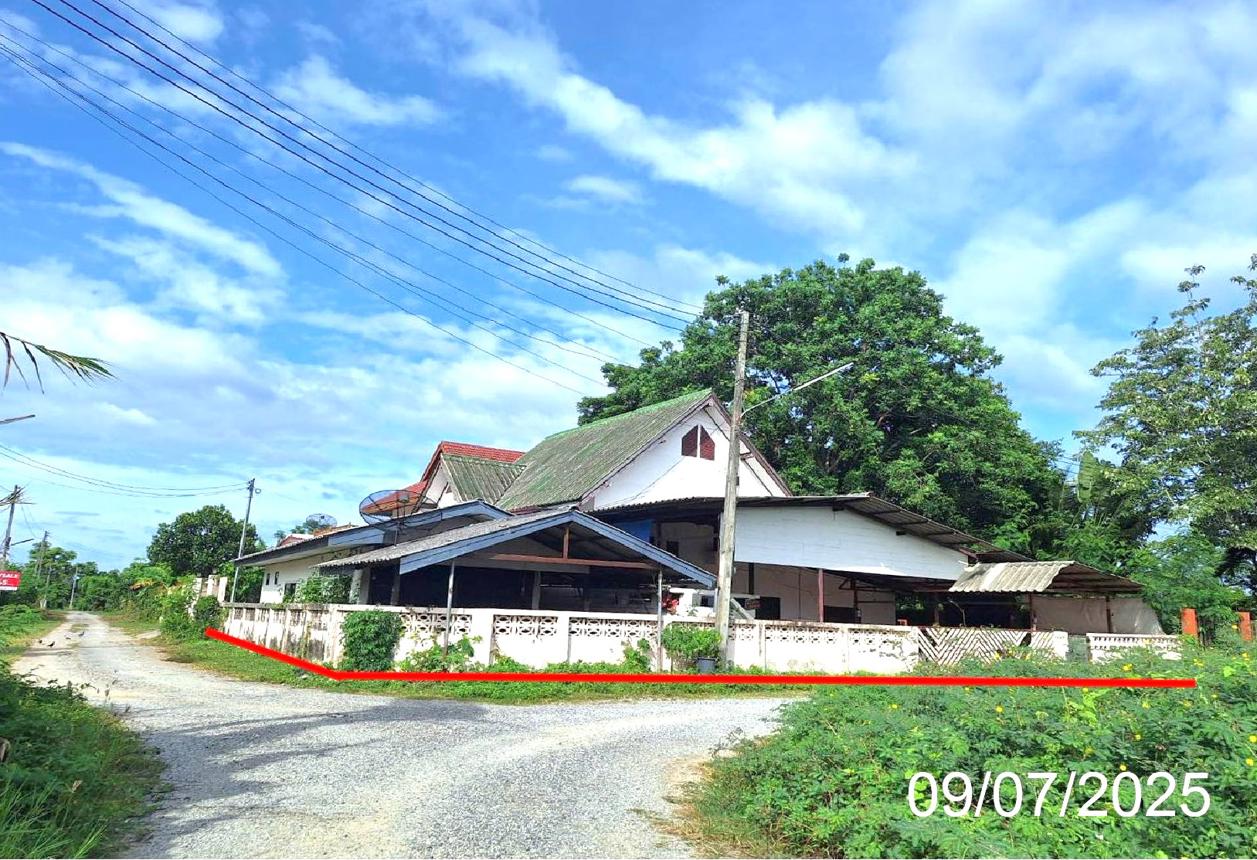 Single-Family House in San Pak Tong, Chiang Mai