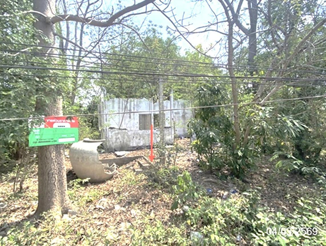 Vacant land for sale in Maha Sarakham, Maha Sarakham Province.