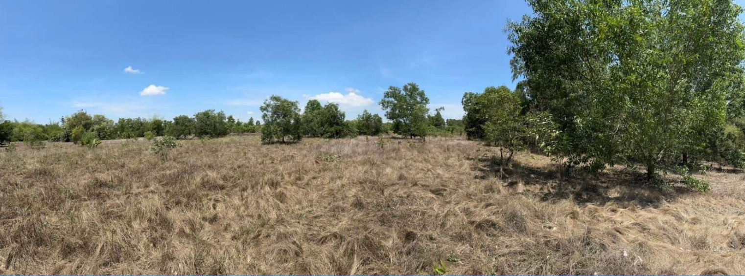 ที่ดินเปล่า โพธิ์งาม ปราจีนบุรี