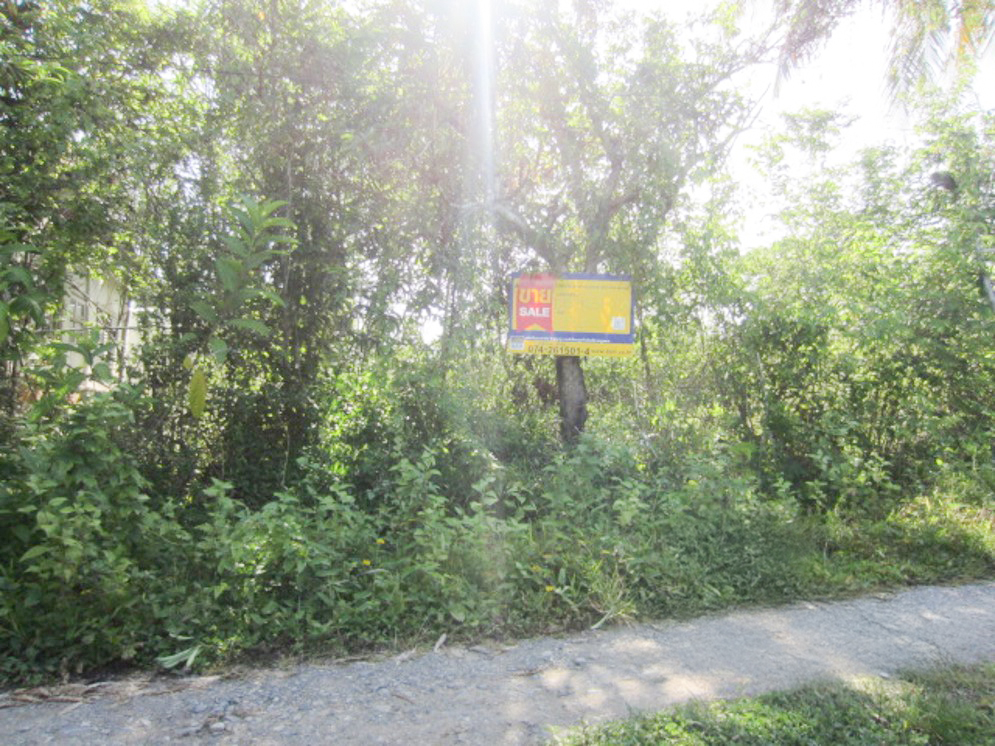 บ้านเดี่ยว ทุ่งลาน
