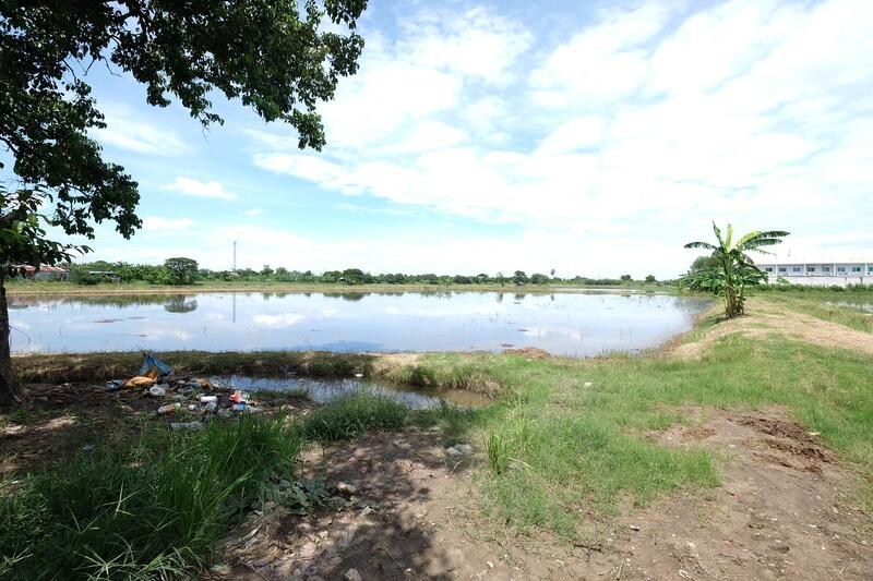 ที่ดิน บางใหญ่, Nonthaburi