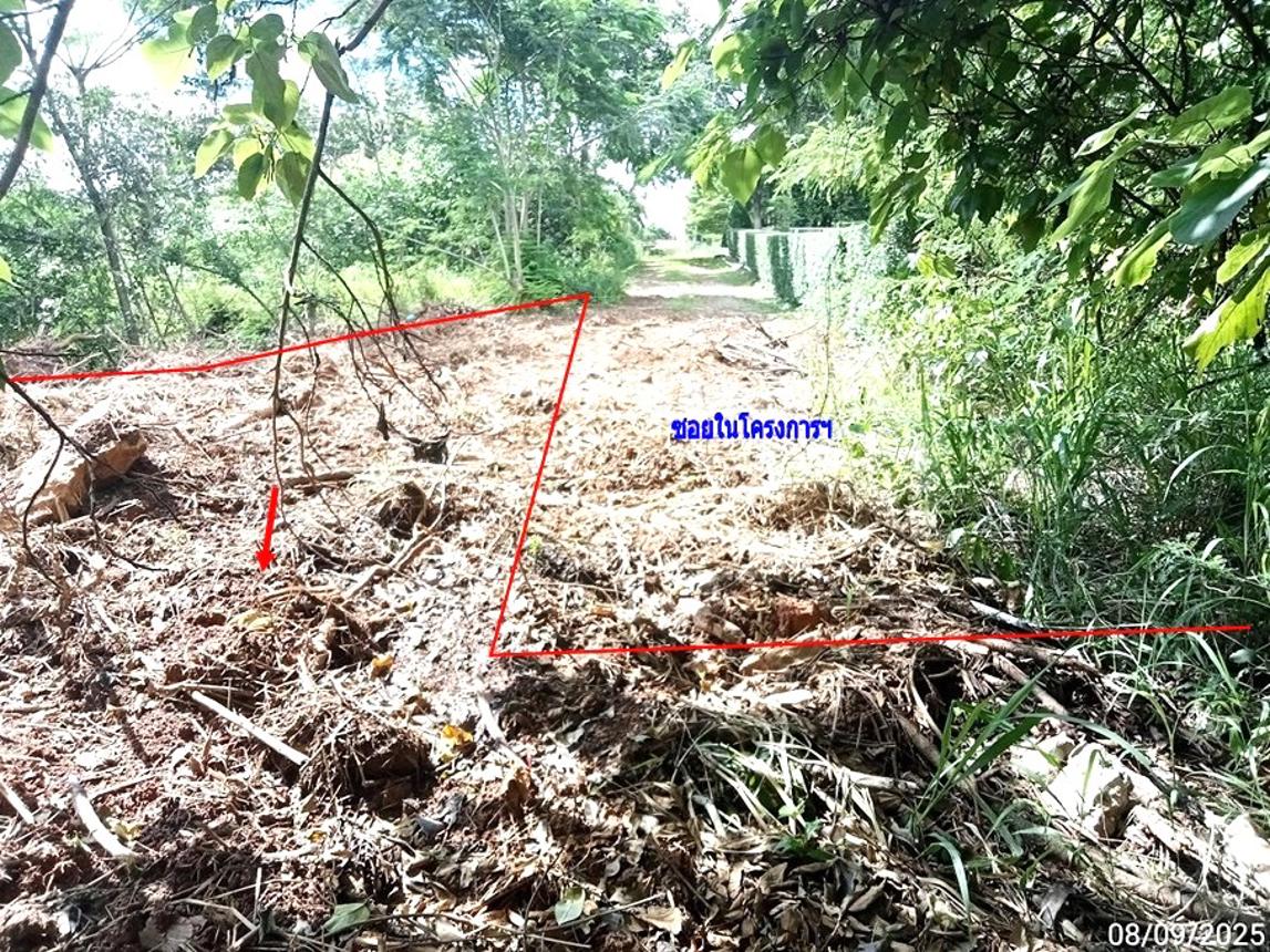 ที่ดินว่างเปล่า ภูริพิมาน ปากช่อง นครราชสีมา