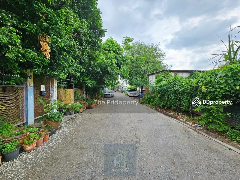 ที่ดิน 149 ตรว. ลาดพร้าว 101 แยก 45, Bangkok