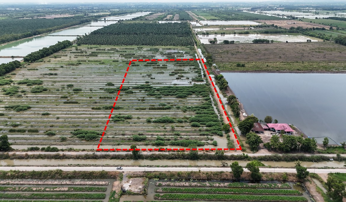 Empty Land in Saraburi