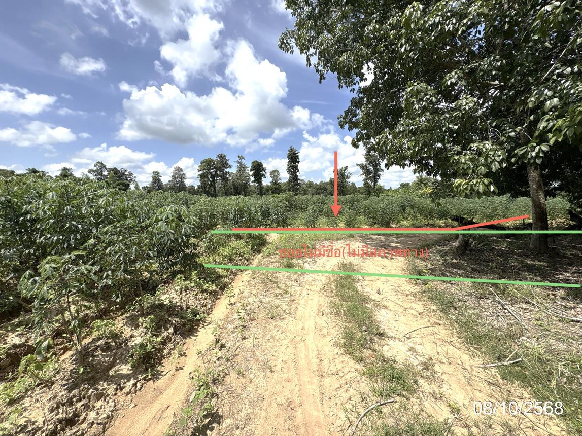 Vacant Land, Trai Phum, Ubon Ratchathani Province