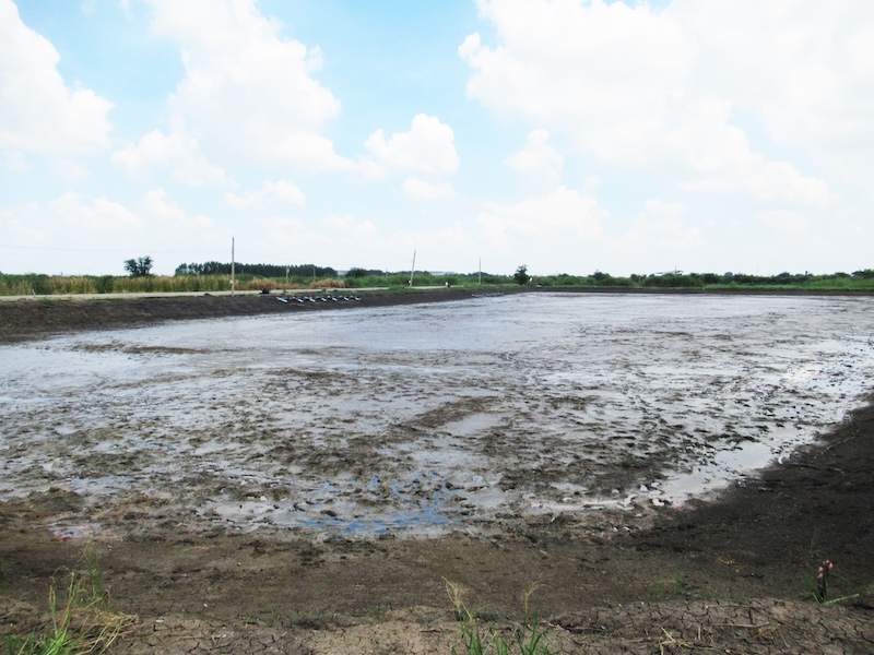 ที่ดินเปล่า โครงการสวนเกษตรปิ่นทองแลนด์ บางเลน