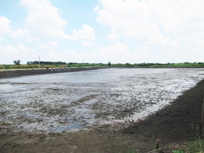 ที่ดินเปล่า โครงการสวนเกษตรปิ่นทองแลนด์ บางเลน
