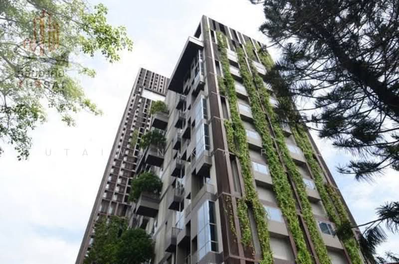 ASHTON Morph 38, Bangkok
