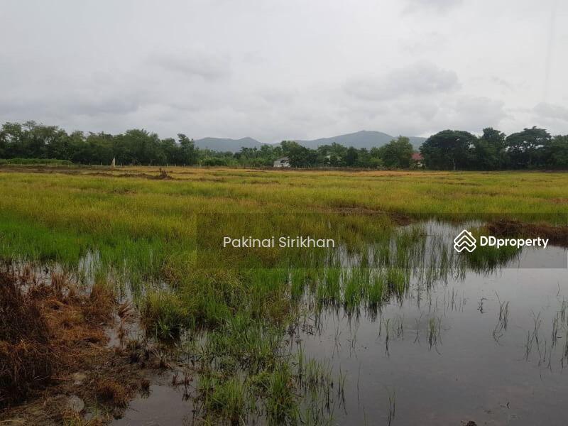 ที่ดินเปล่า ต.ห้วยทราย อ.สันกำแพง เชียงใหม่, Chiang Mai