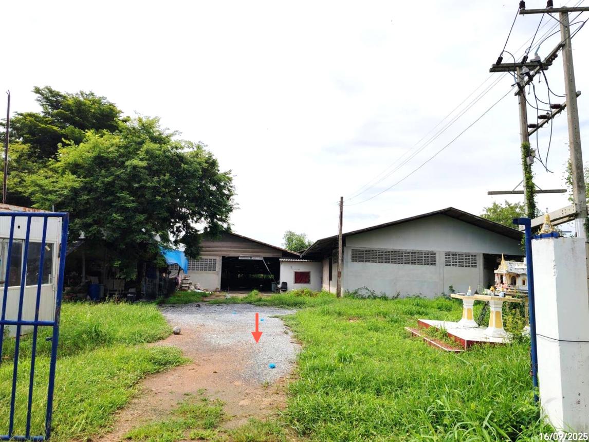 อาคารโรงงานสำหรับขายที่อำเภอผักไห่ จังหวัดพระนครศรีอยุธยา