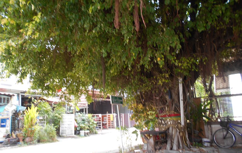 Baan Thanarin