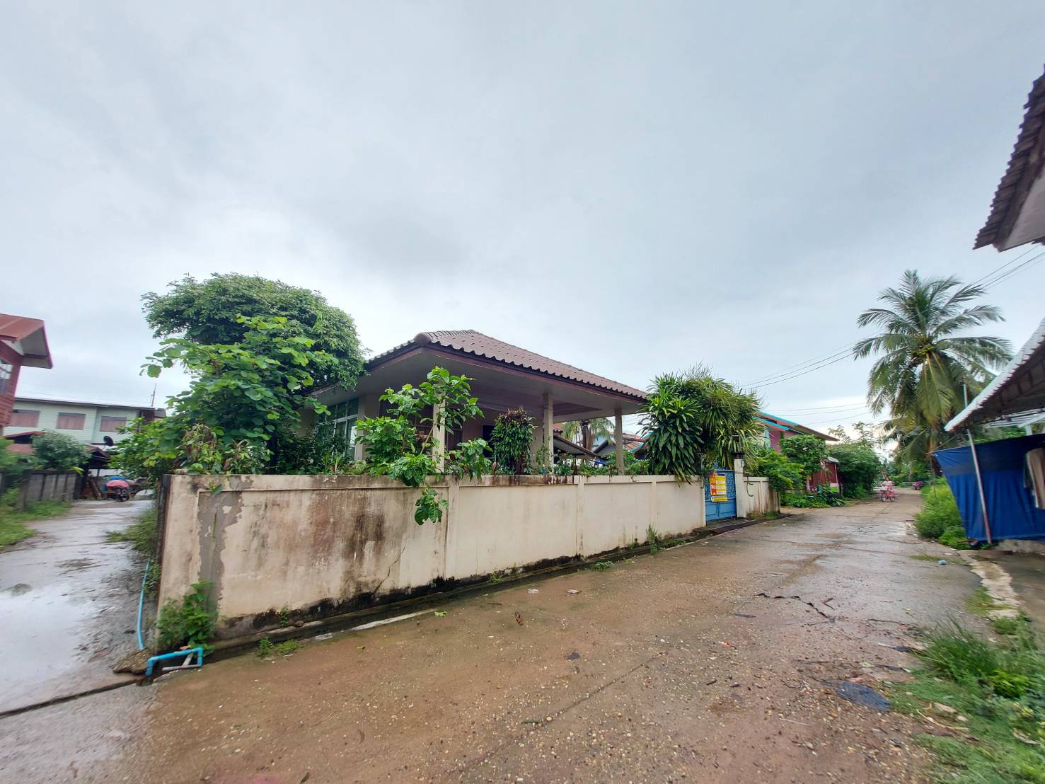บ้านเดี่ยว บ้านเดื่อใต้ เมืองหนองคาย