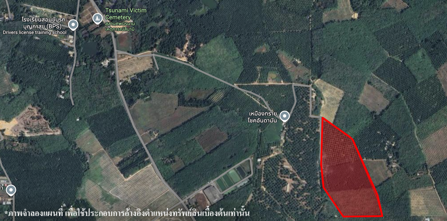 ที่ดินเปล่า พังงา