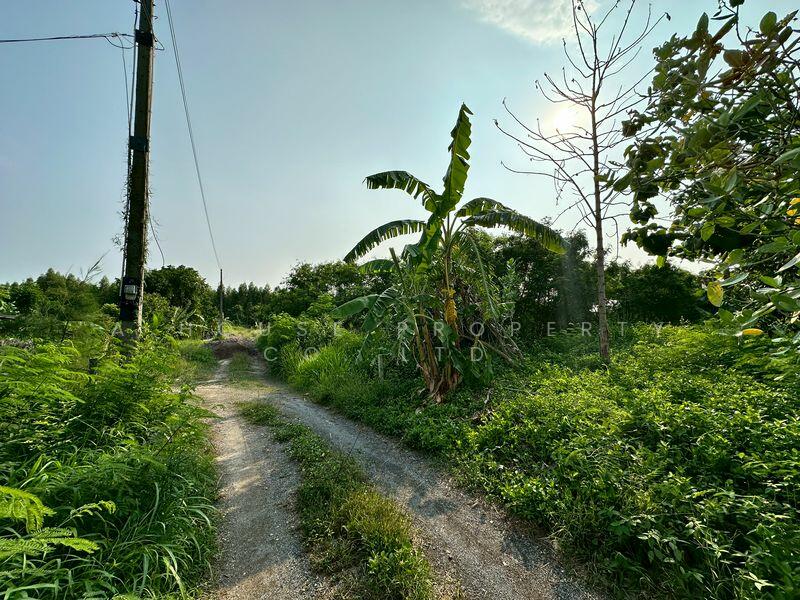 Land for sale in Huai Kapi, Khiri Nakhon Intersection, near tourist attractions, Chon Buri (Pattaya)