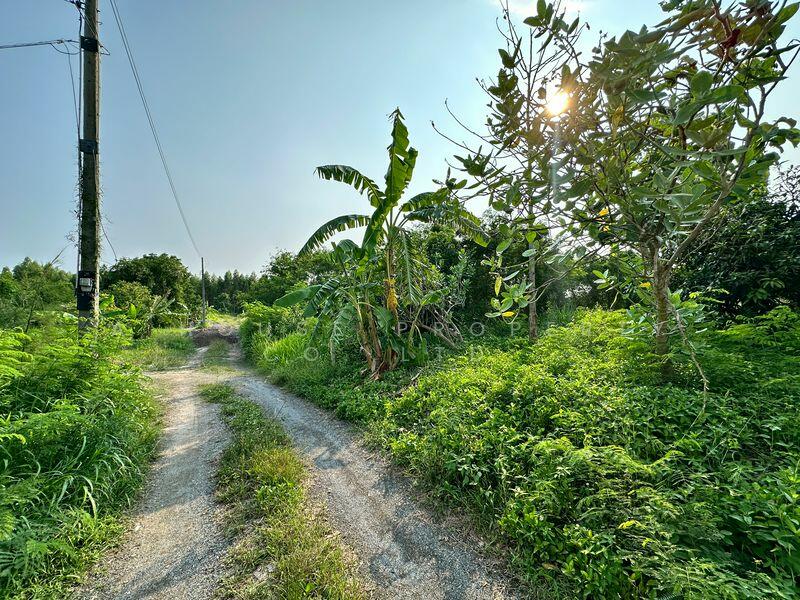 Land for sale in Huai Kapi, Khiri Nakhon Intersection, near tourist attractions, Chon Buri (Pattaya)