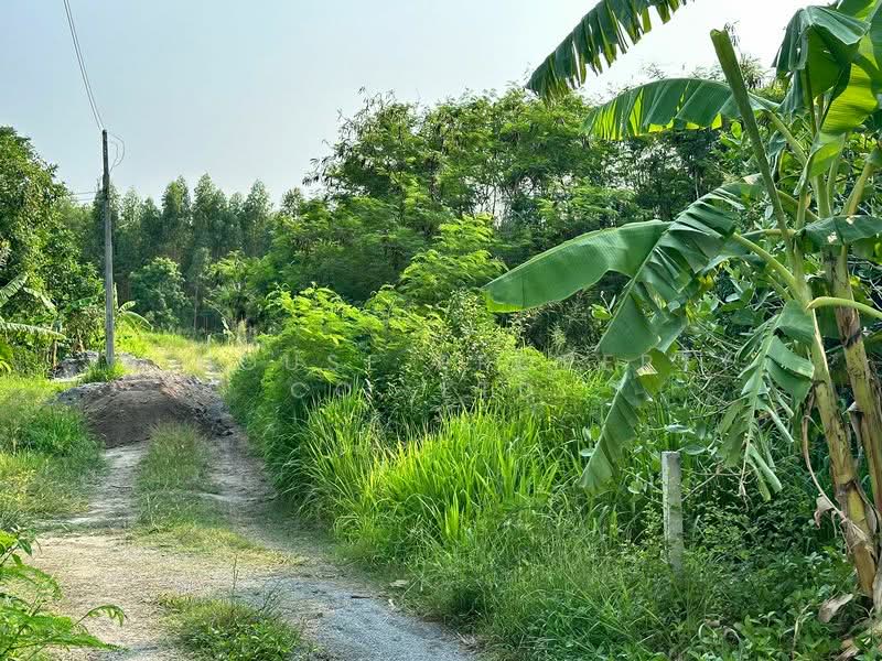 Land for sale in Huai Kapi, Khiri Nakhon Intersection, near tourist attractions, Chon Buri (Pattaya)