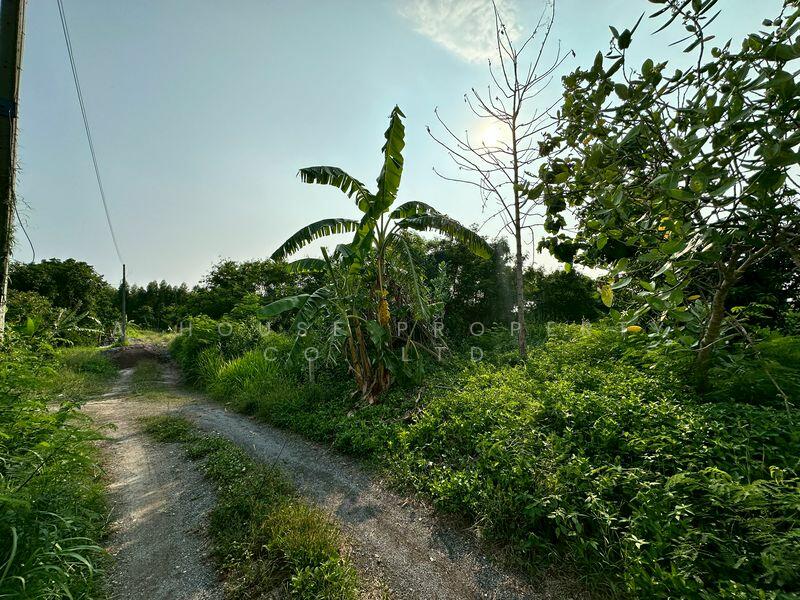 Land for sale in Huai Kapi, Khiri Nakhon Intersection, near tourist attractions, Chon Buri (Pattaya)