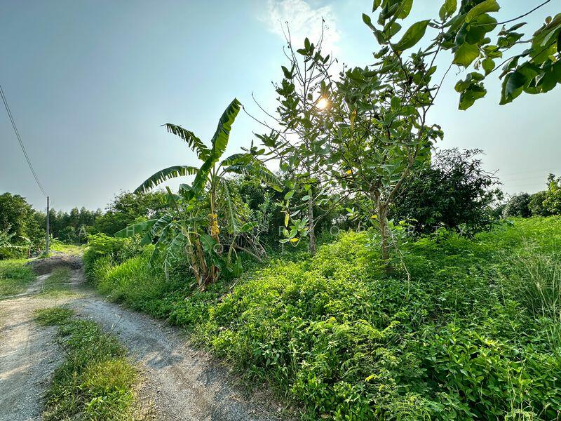 Land for sale in Huai Kapi, Khiri Nakhon Intersection, near tourist attractions, Chon Buri (Pattaya)