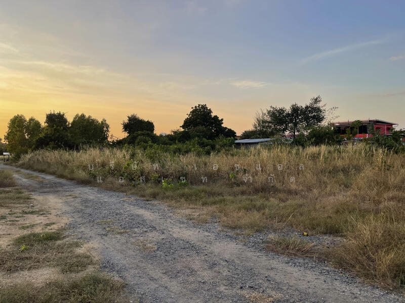 Land for sale Pattaya Chonburi, Chon Buri (Pattaya)