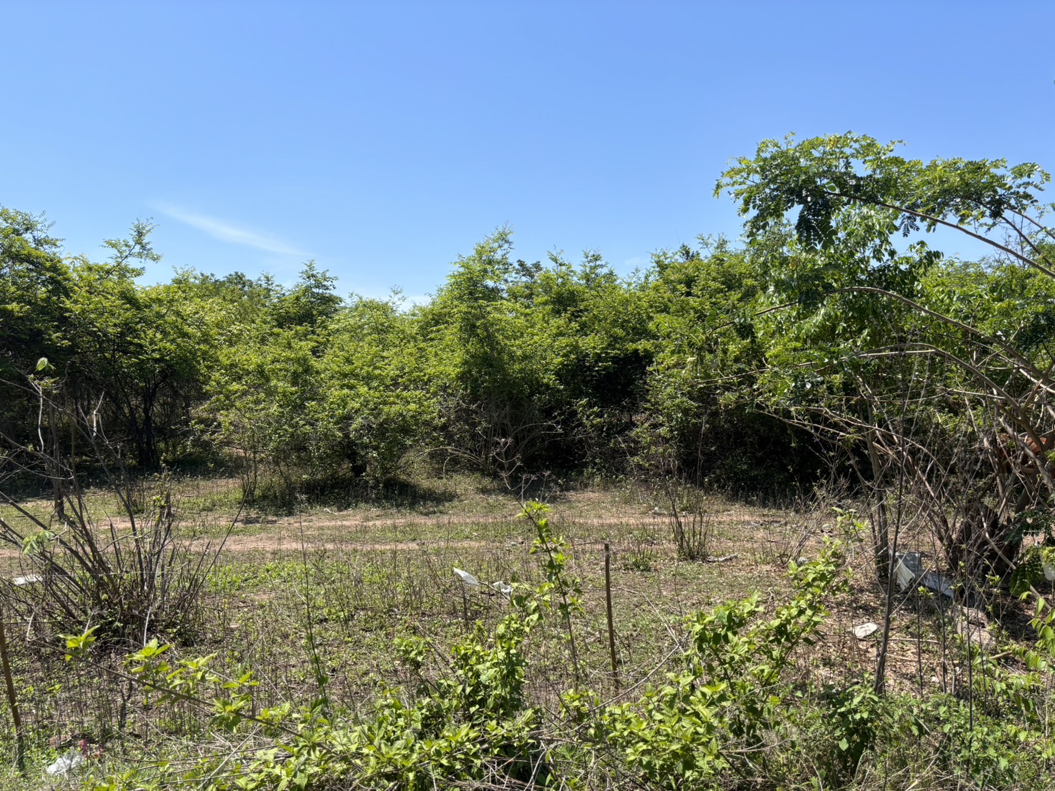 ที่ดินเปล่า เชียงใหม่