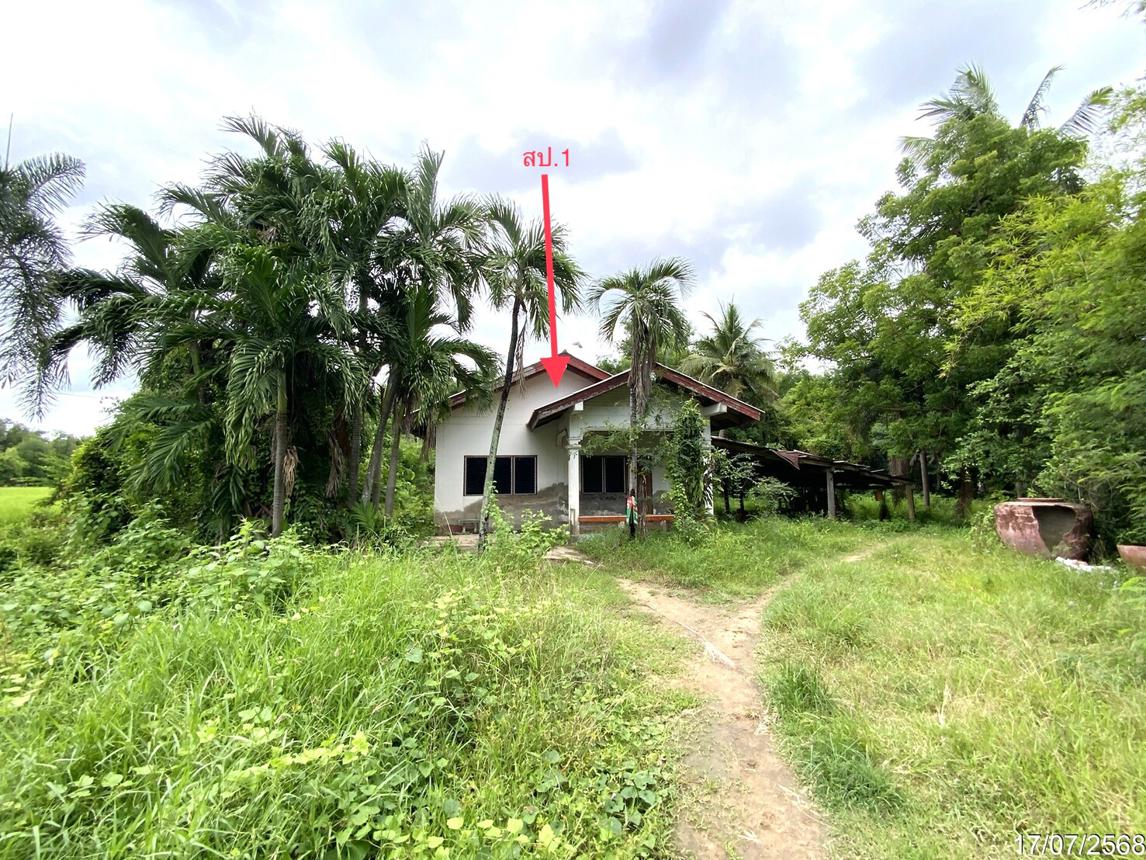 Single House in Bang Rachan, Sing Buri