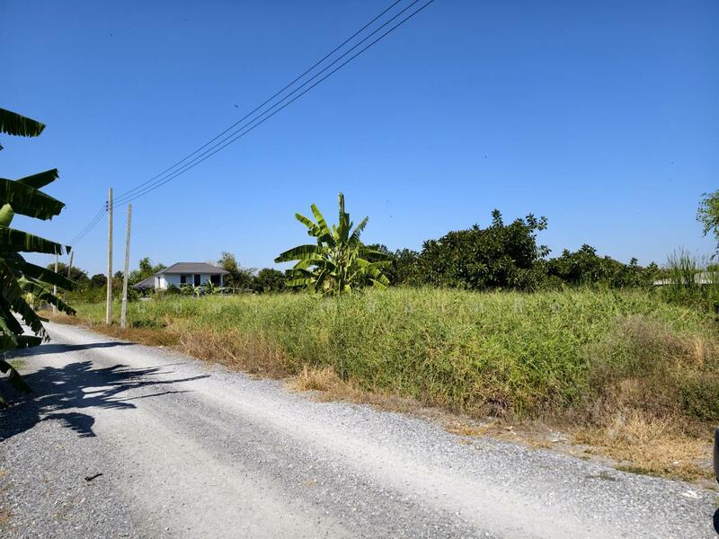 Land for sale in Chalong Krung 54, Lat Krabang area, near ICD and Chaokhun Thahan Lat Krabang., Bangkok