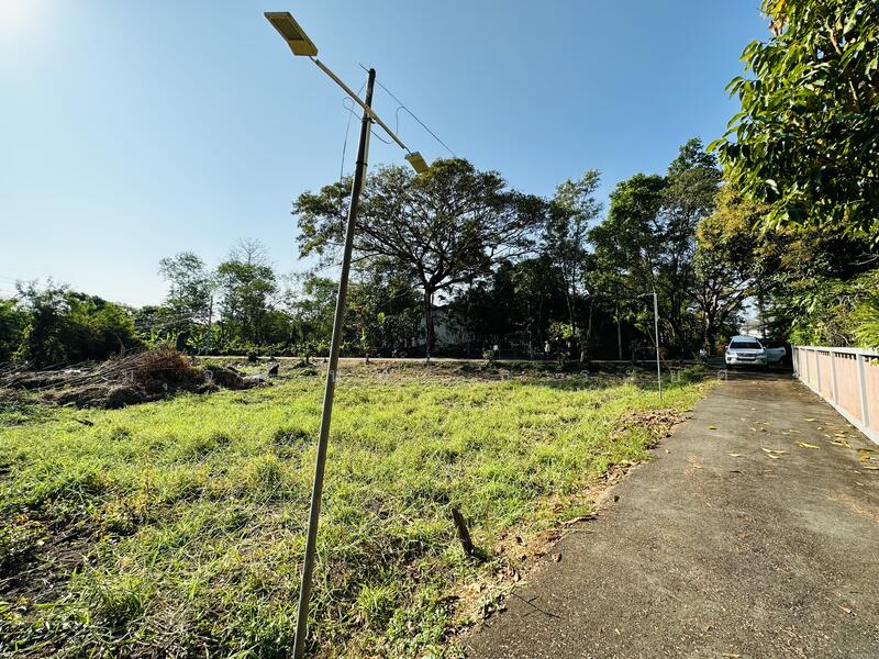 ขายที่ดิน หนองผึ้ง อ.สันทราย จ.เชียงใหม่ เนื้อที่ 4 ไร่, Chiang Mai