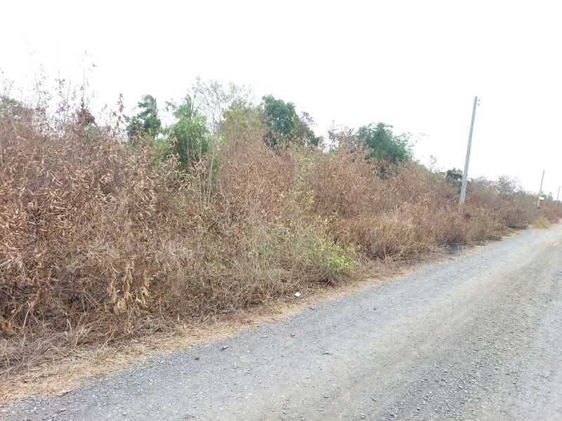 ที่ดินองครักษ์ นครนายก, Nakhon Nayok