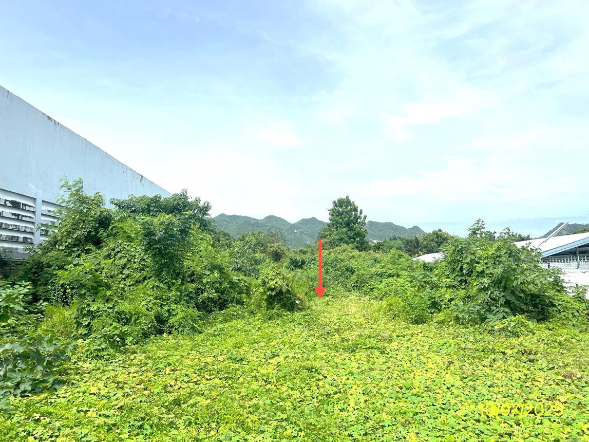 ที่ดินว่างเปล่า ท่าม่วง กาญจนบุรี