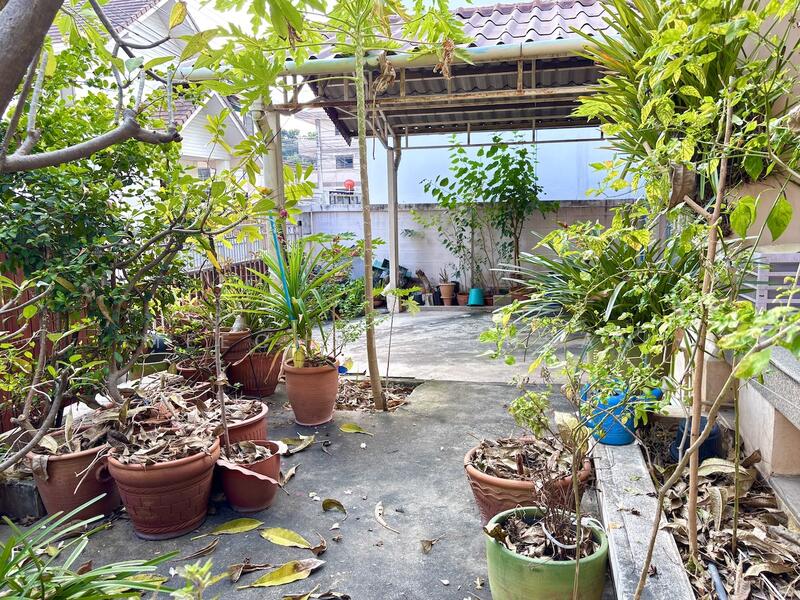 บ้านเดี่ยว 90 ตรว.ย่านพระราม 9, Bangkok