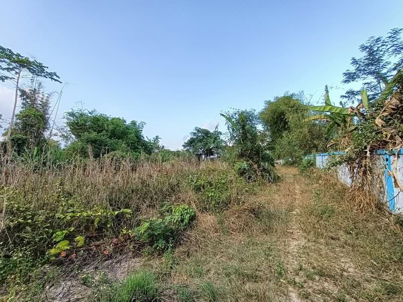 Land for sale next to Phahon Yothin rd. (Main road no. 106) Li, Lamphun, Lamphun