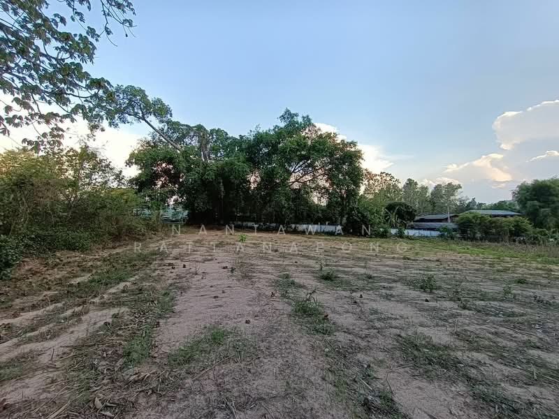 Land for sale next to Phahon Yothin rd. (Main road no. 106) Li, Lamphun, Lamphun