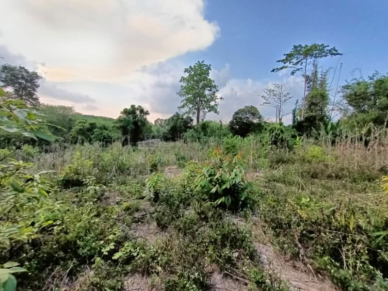 Land for sale next to Phahon Yothin rd. (Main road no. 106) Li, Lamphun, Lamphun